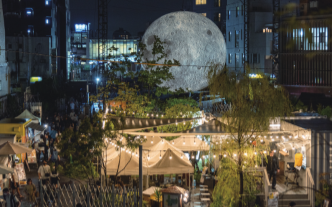 Lunar Field